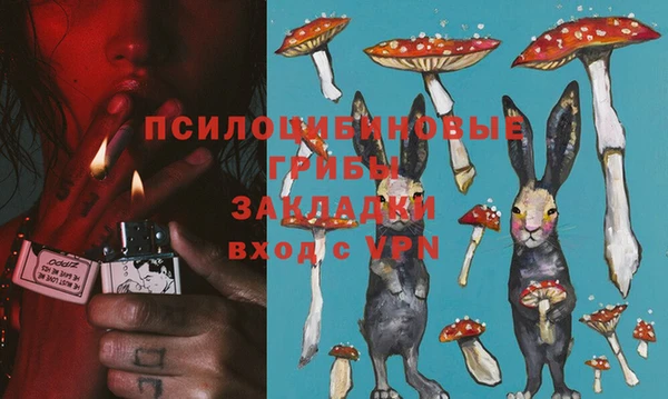 гидропоника Арсеньев