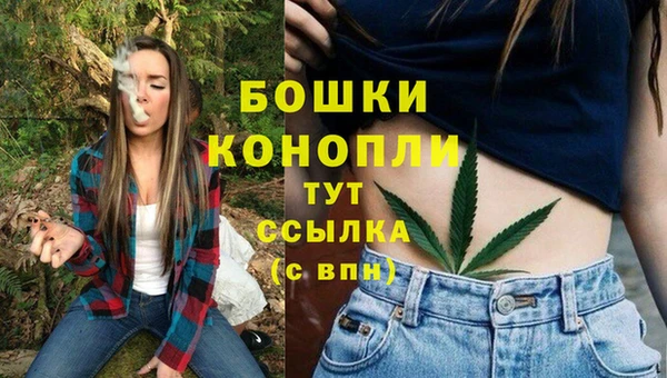 альфа пвп Нефтегорск