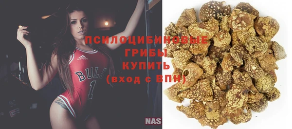 гидропоника Арсеньев