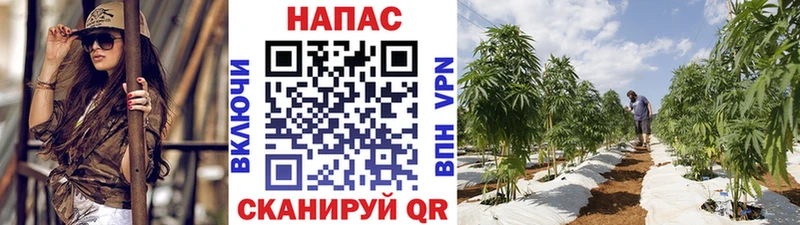 Бошки марихуана тримм  как найти наркотики  даркнет формула  Миньяр 